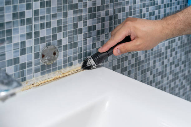 Best Certified Mold Removal  in Alorton, IL
